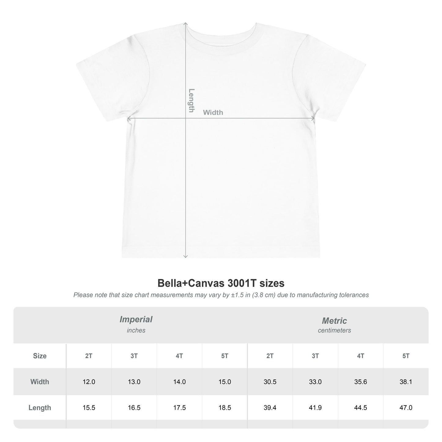 Toddler 4th of July T-Shirt